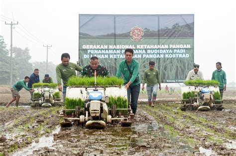 Gerakan Nasional Ketahanan Pangan Pangkostrad Tanam Perdana Padi Di