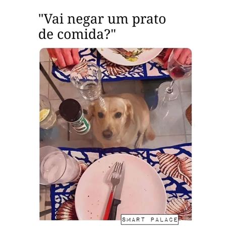 Vai Negar Um Prato De Comida Memes