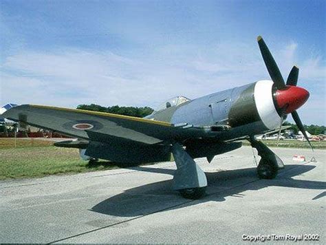 Английский истребитель Hawker Tempest Mk Ii La607 48 фото Картины