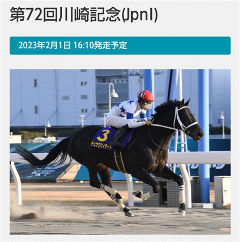 川崎記念2023 予想 競馬場へ行こう‼ 《 ケロッピー 彡