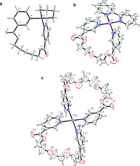 Ortep Diagram For The Cationic Part Of The Complexes A 1 B 2 And Download Scientific