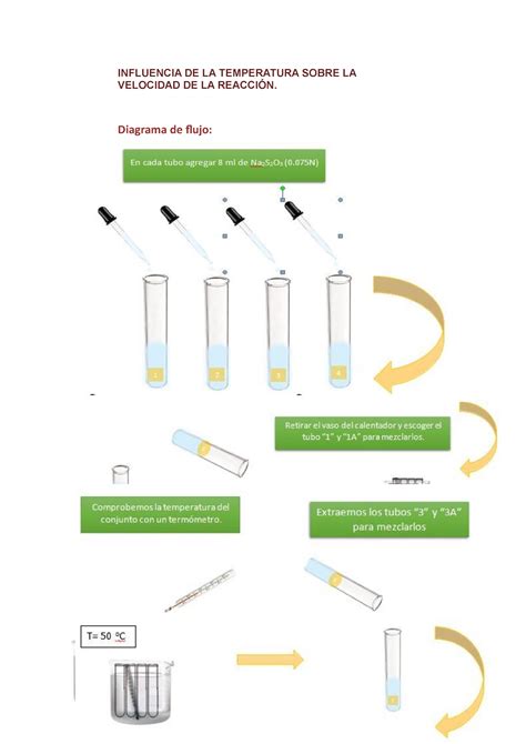 Influencia De La Temperatura Sobre La Velocidad De Reaccion