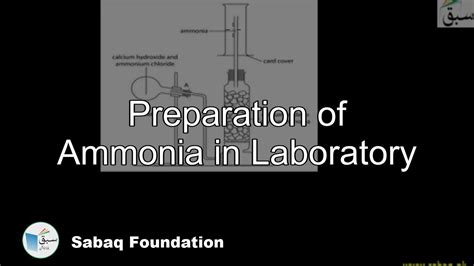 Preparation Of Ammonia In Laboratory Chemistry Lecture Sabaq Pk Youtube