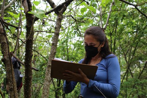 Avaliação Dos Benefícios Do Programa De Adequação Ambiental Do Campus Luiz De Queiroz Usp