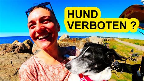 4 Wichtigsten Tips Einreise Schweden Mit Hund Beim Camping Und Hund