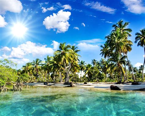 Fonds D Cran Beau Paysage Tropiques Plage Palmiers Mer Soleil