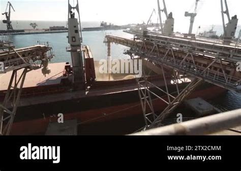 Slide Of Ship Loading Grain Crops On Bulk Freighter Via Trunk To Open