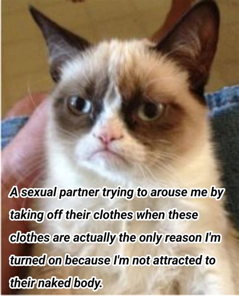 Probably Relatable To Sex Favorable Asexuals With A Clothing Fetish