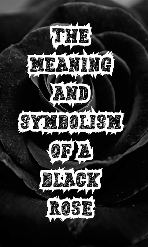 The Meaning and Symbolism of a Black Rose - On Your Journey