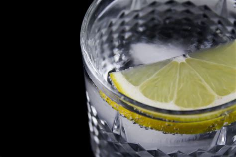 Everything You Need To Know About The Gin And Tonic Ateriet