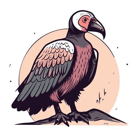 Vultures Vector Illustration Of A Vulture On A White Background