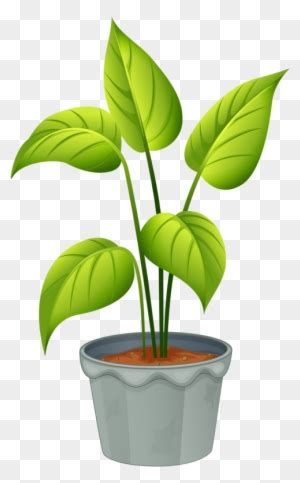 Free Plant Clipart Graphics Of Plants Clip Art Library