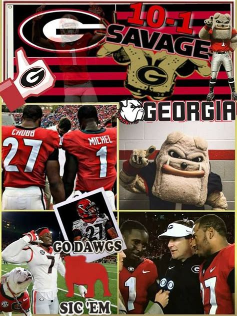 Dawgs Football, Georgia Bulldogs Football, Football Tailgate, Football ...