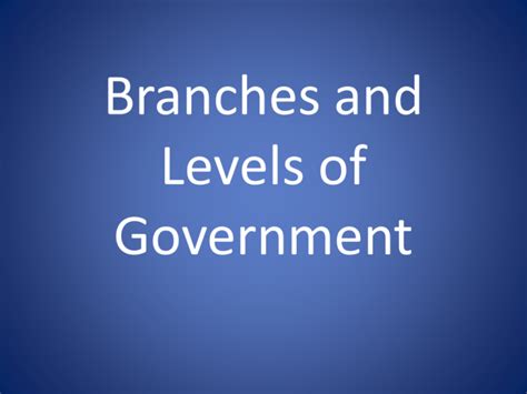 Levels And Branches Of Government