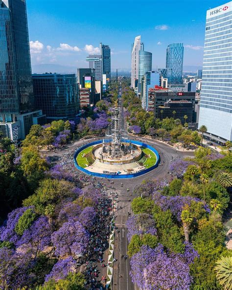 Ángel De La Independencia Historia Y Curiosidades Que No Sabías