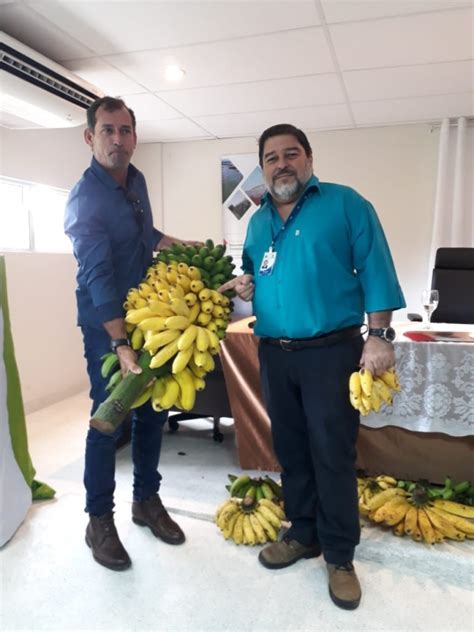 Ipa Apoia Plano De A O Territorial De Bananicultura Do Bnb Ipa