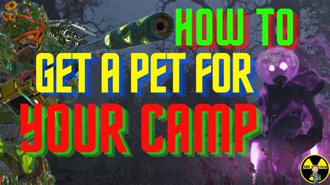 Fallout 76 Fastest Way How To Tame A Pet For Your Camp Youtube