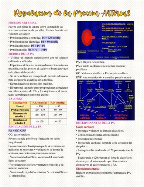 Presión Arterial Udocz