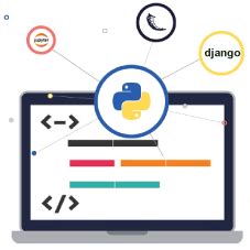 Python Infographics