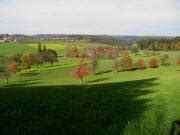 Freiburg Schwarzwald De Ottoschwanden Freiamt