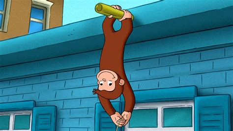 Curioso Come George Quanto Alto George Cartoni Per Bambini Youtube