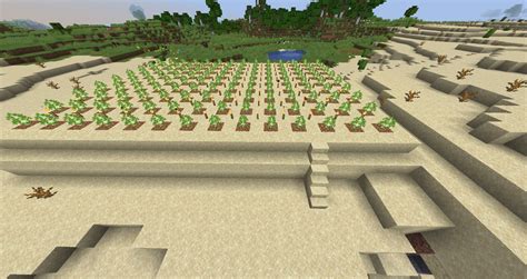 Tutorial Tree Farming Minecraft Wiki