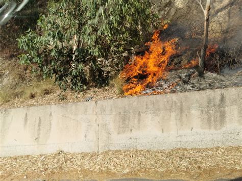 Incendio Sulle Colline Di Capo D Armi Numerosi Piccoli Incendi Anche A