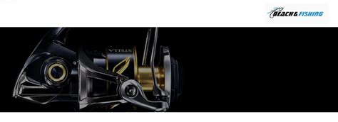 Shimano Stella SW Spinning Reel Review - Worth The Price?