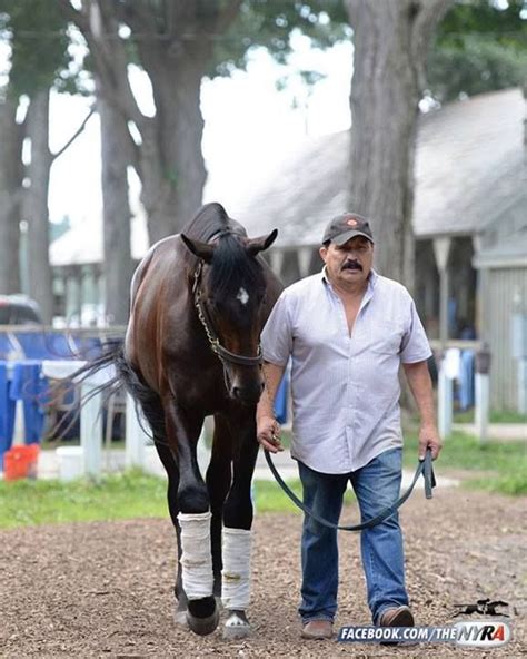 Cozmic One Is The First Foal Out Of Star Zenyatta Zenyatta Horse