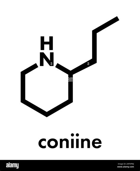 Coniine Herbal Toxin Molecule Present In Poison Hemlock Conium