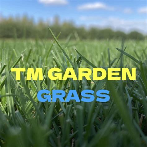 Garden Grass