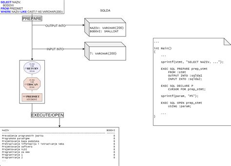 Aplikacije Sa Dinami Kim Sql Naredbama Programiranje Baza Podataka