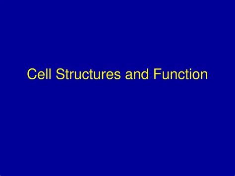 Cell Structures And Function Ppt Download