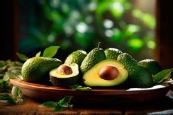 Aguacates Persea Americana Plantamus Vivero Online