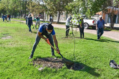 Invita Tula A Participar En Jornada De Reforestaci N