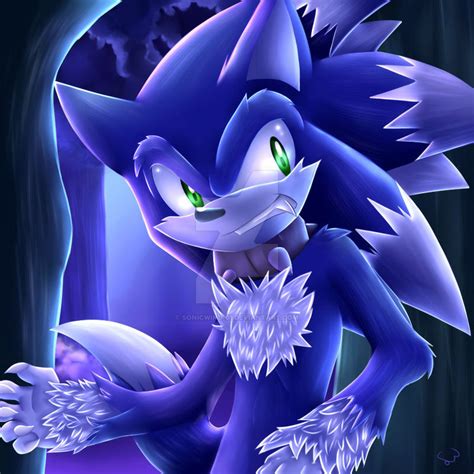 Sonic The Werehog Sonic The Werehog Photo Fanpop