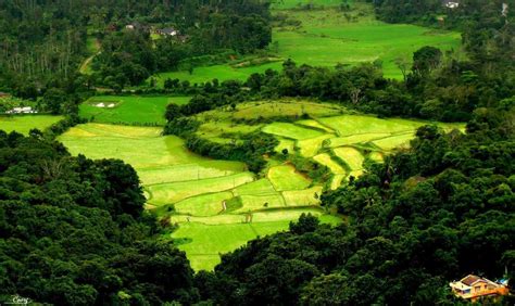 10 places in India to travel to spend some time with nature