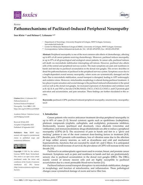 Pdf Pathomechanisms Of Paclitaxel Induced Peripheral Neuropathy