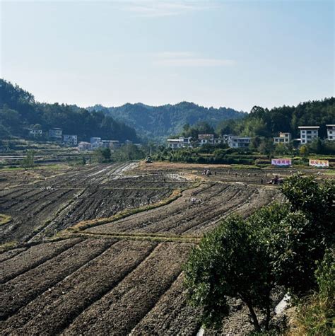 沃野田畴绘新景 ——写好“藏粮于地、藏粮于技”的恩施答卷 农机新闻网