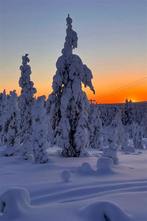 Lapland In Winter: 15 Bucket List Things To Do