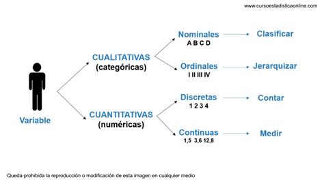 Identificando Variables Cualitativas En Su Investigaci N