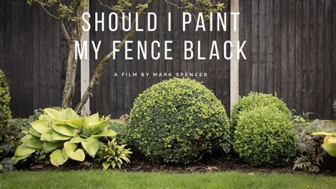 What Color Fence Paint Makes the Garden Look Bigger?