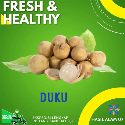 Jual Buah Dukuh Duku Palembang Segar Fresh Kg Shopee Indonesia