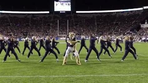 Mascot Powers Up The Show Dance Teams Byu Byu Football