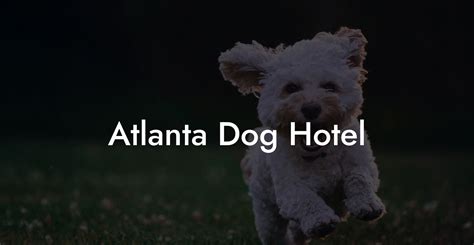 Atlanta Dog Hotel - Dog Hotels