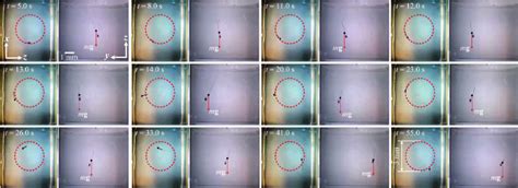 A Representative Motion Control Result Of The Helical Microrobot In