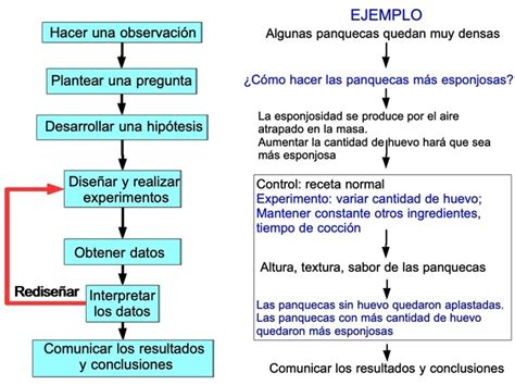 Ejemplo De Método De Investigación Científica