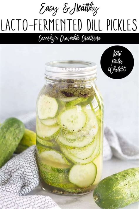 These Homemade Dill Lacto Fermented Pickles Are Cool Crunchy Slightly