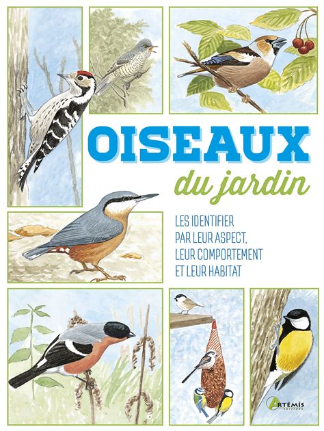 Oiseaux Du Jardin Faune Sauvage