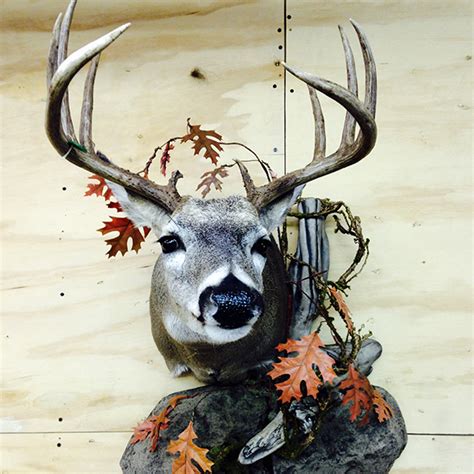 Whitetail deer hunting Archives - Vanmar Taxidermy by Vance Montgomery